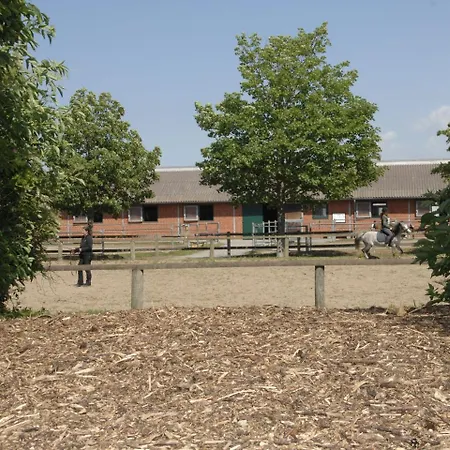 Ferienwohnung Auf Einem Reiterhof Ribnitz-Damgarten