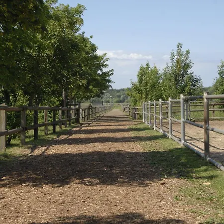 Ferienwohnung Auf Einem Reiterhof Ribnitz-Damgarten